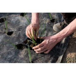 Patvari juoda agrotekstilė + aukštakulniai