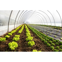 Patvari juoda agrotekstilė + aukštakulniai