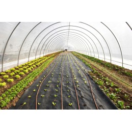 Patvari juoda agrotekstilė + aukštakulniai