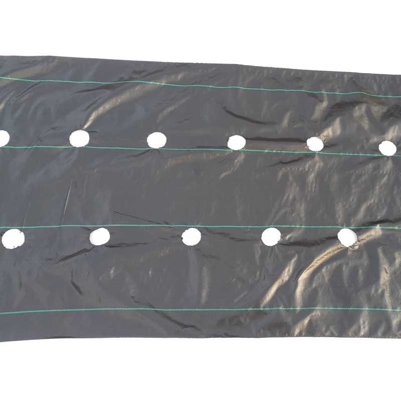 Agrotkanina skyles braškės salotai agurkai pomidorai 1 1x30m piktžolių kilimėlis