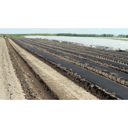 Agrotekstilės mulčiavimas (nuo piktžolių) su UV filtru