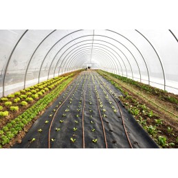 Žemės ūkio audinys, juodas, 1,6 x 100 m, 70 g/m2