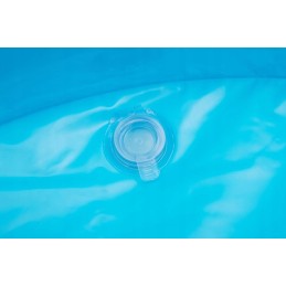 Pripučiamos baseino gėlės 305 x 183 x 56 cm bestway 54