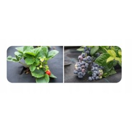 Cultivo agrotekstilė juoda 160 x 5000 cm 90 g/m² stiprus sodas didelis