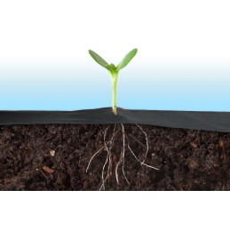 Sodo agrotekstilė 1,6 m x 100 m + 100 plonų smeigtukų