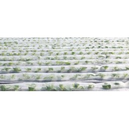 Puikiai tinka visam sezonui