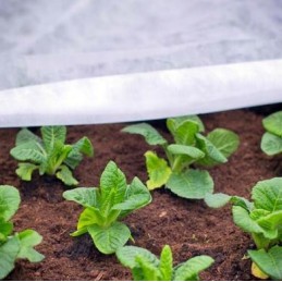 Puikiai tinka visam sezonui