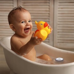 Meteo TB 2 baseino termometras