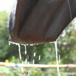 Agrotekstilė nuo piktžolių, agrotekstilė, 1,1 x 100 m