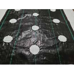 Kaip pateikti užsakymą