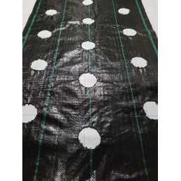 Kaip pateikti užsakymą