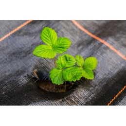 ✅Agro audinys 1,1x50m 90g juodas UV 3% nuo piktžolių✅