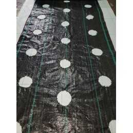 Kaip pateikti užsakymą