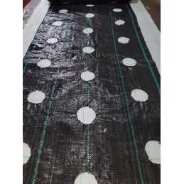 Kaip pateikti užsakymą