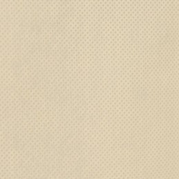 Apsauginis gaubtas augalams su užtrauktuku 70 g m2 3 93x3 5 m