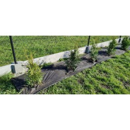 Agrotkanina mata marma lenko 99g m2 0 60m x 100m