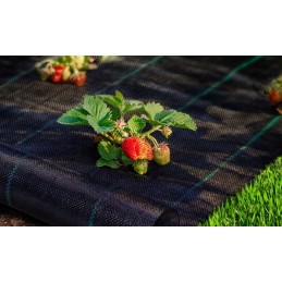 ⭐⭐Agrotekstilė nuo piktžolių agrotekstilė juoda 90g 1,1x50m uv 3% tvirti inkarai⭐⭐