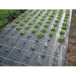 ⭐️ Agrotekstilė Agrotekstilė nuo piktžolių 0,4m 70g/m2 100mb⭐️