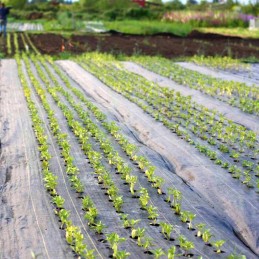 ⭐️ Agrotekstilė Agrotekstilė nuo piktžolių 0,4m 70g/m2 100mb⭐️