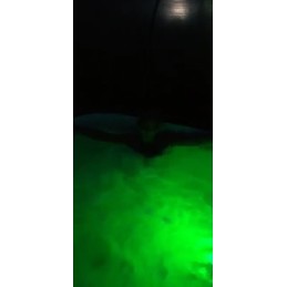 Bestway 60303 daudzkrāsu LED spa džakuzi lampa