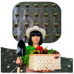 Agrot audinys, skylutės daigams, 1,6 x 10 m, storis, 95g