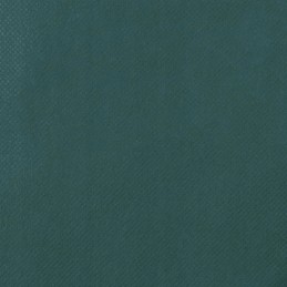 Apsauginis gaubtas augalams su užtrauktuku 70 g m2 3 93x3 m