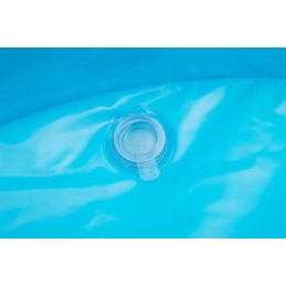 Pripučiamos baseino gėlės 305 x 183 x 56 cm bestway