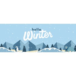 Ledo baseinas, baseinas, 75x75 cm, 320 l, sulankstoma vonia