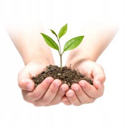 Pagrindinės savybės: