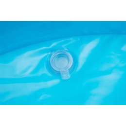 Pripučiamos baseino gėlės 305 x 183 x 56 cm bestway