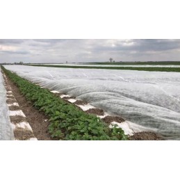 Išaugintas audinys storis 23gramai baltas 3 2x100 dangai