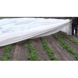 Išaugintas audinys storis 23gramai baltas 3 2x100 dangai