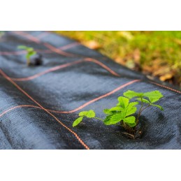 Tvirtas agroaudinys 1 1x50 m tvarus augintas audinys premium 90 g m2 galimybė