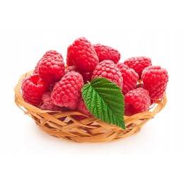 Juodos agrotekstilės sunrise premium uv90 kaiščiai