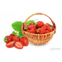 Juodos agrotekstilės sunrise premium uv90 kaiščiai