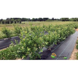 Juodos agrotekstilės sunrise premium uv90 kaiščiai