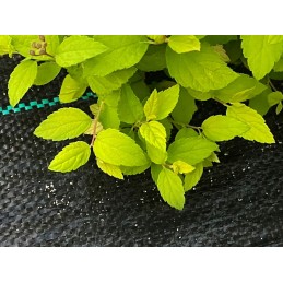Agrotekstilė nuo piktžolių mulčiavimo 70g/m2 rulone 1,1x100m + inkarai