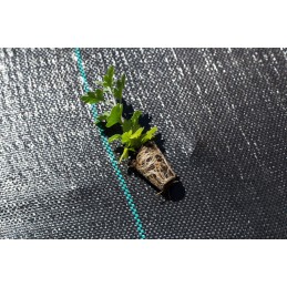 Agrotekstilė nuo piktžolių mulčiavimo 70g/m2 rulone 1,1x100m + inkarai