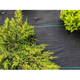 Pretnezāļu mulčēšanas agrotekstils 70g/m2 rullī 1,1x100m + enkuri