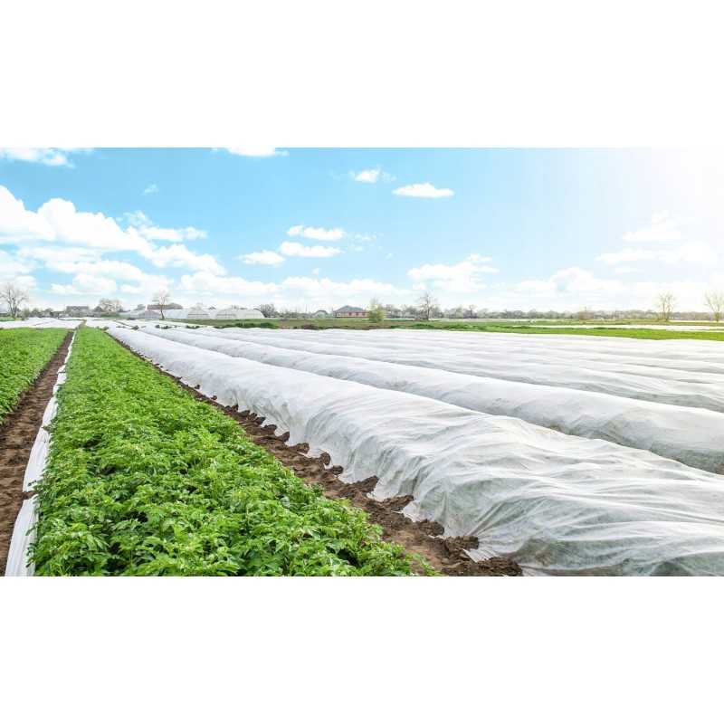 Agrowoven audinio danga balta spyruoklė UV 20g m2 1 6m x 100m