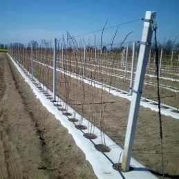 Agrotekstilė sodo kilimėlis balta žieminė agrotekstilė 100 mx 1,6 m 80 g