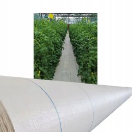 Agrotekstilė sodo kilimėlis balta žieminė agrotekstilė 100 mx 1,6 m 80 g
