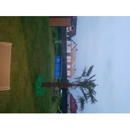 Baseino rėmo rinkinys 305x76cm bestway kopėčios