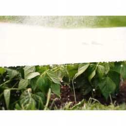 Spyruoklinė agrotekstilė balta 3,2x5m 17g nova