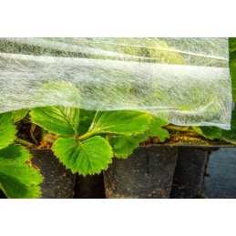 Balta agrotekstilė šalčiui, 160 cm pločio, bet kokio ilgio