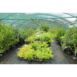 🌟_xDF1F_ labai storas agritella premium mulčiavimo audinys 110g 1,6x50m juodas