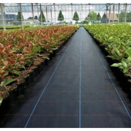 Stipri agrotekstilė / agrotekstilė piktžolėms 90g/m2, kilimėlis nuo piktžolių 1,6x50 + smeigtukai 50 vnt.