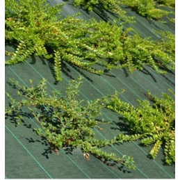 Mūsų žalia agrotekstilė