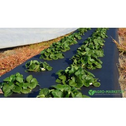 Augalinis audinys 1 6x100m juoda 160cm x 100m 70 g m2