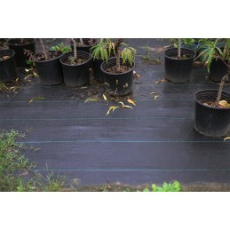 Stipri agrotekstilė agrotekstilė 90g 1,6x50m plius inkarai 004690